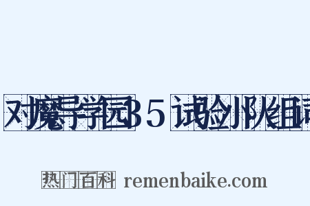 对魔导学园35试验小队组词是什么意思的图片